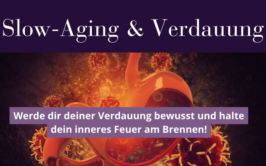 Geheimes Trio: Verjüngung, Verdauung und das Agni